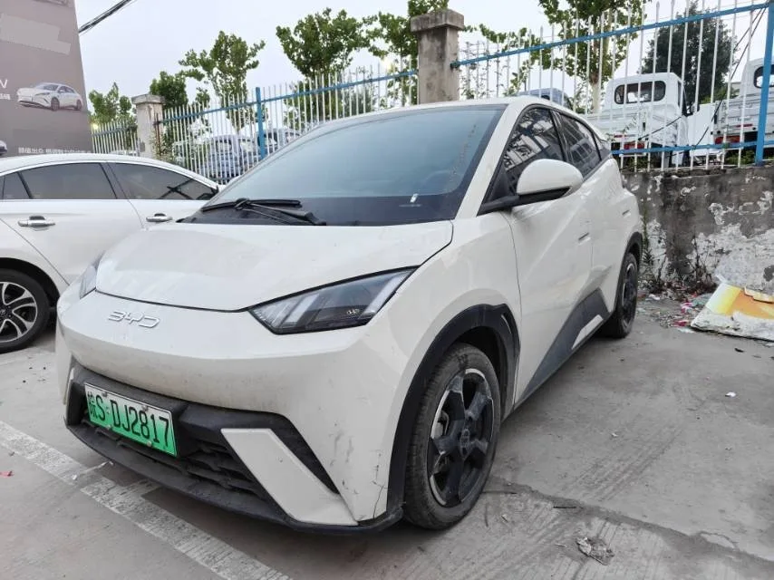 BYD 2023 Seagull Freedom Edition Automatic