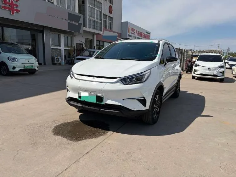 Yuan Pro 2021 401KM Premium