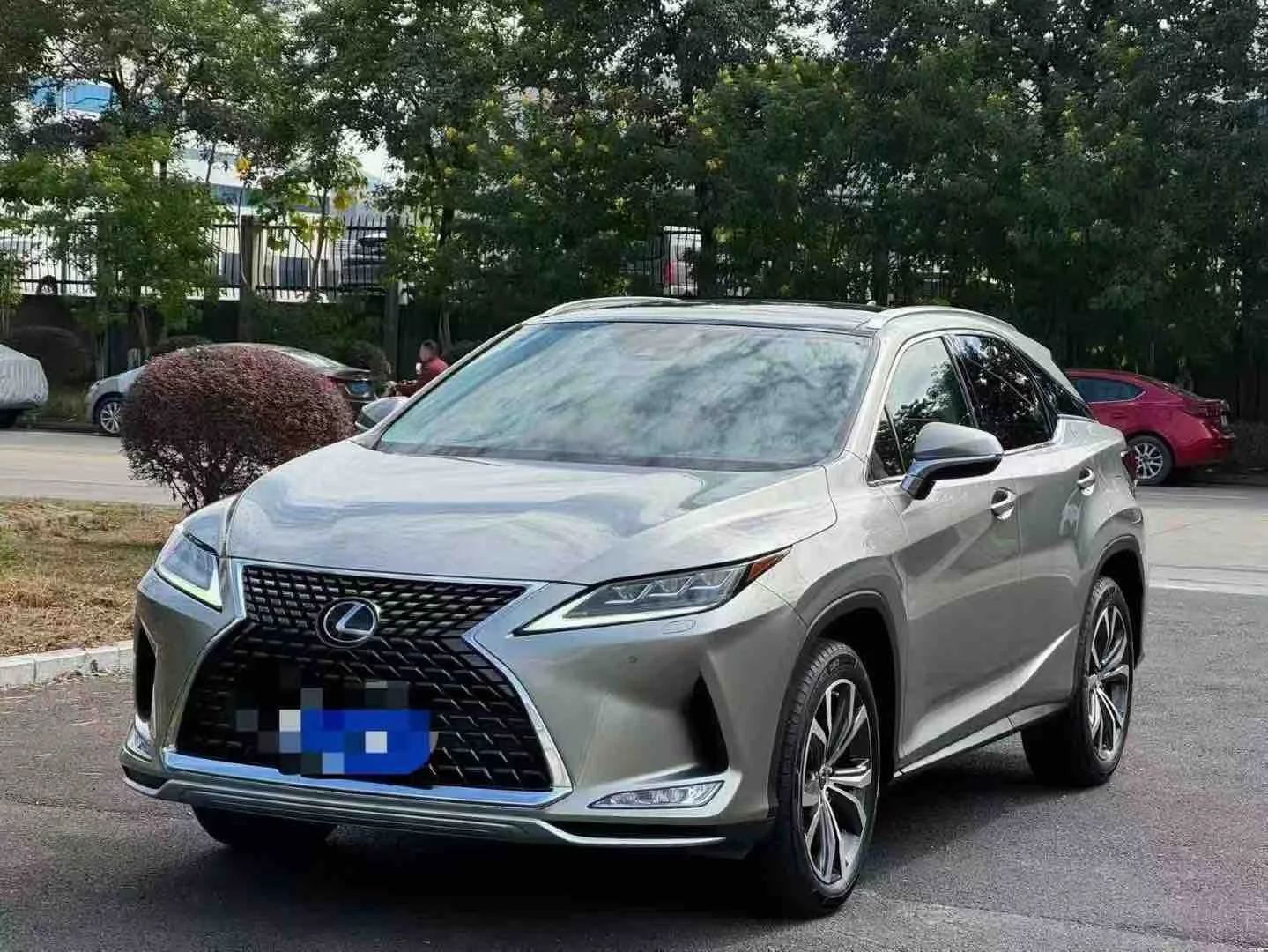 Lexus RX 2020 300 AWD Elegant Edition (China V Emission Standard)