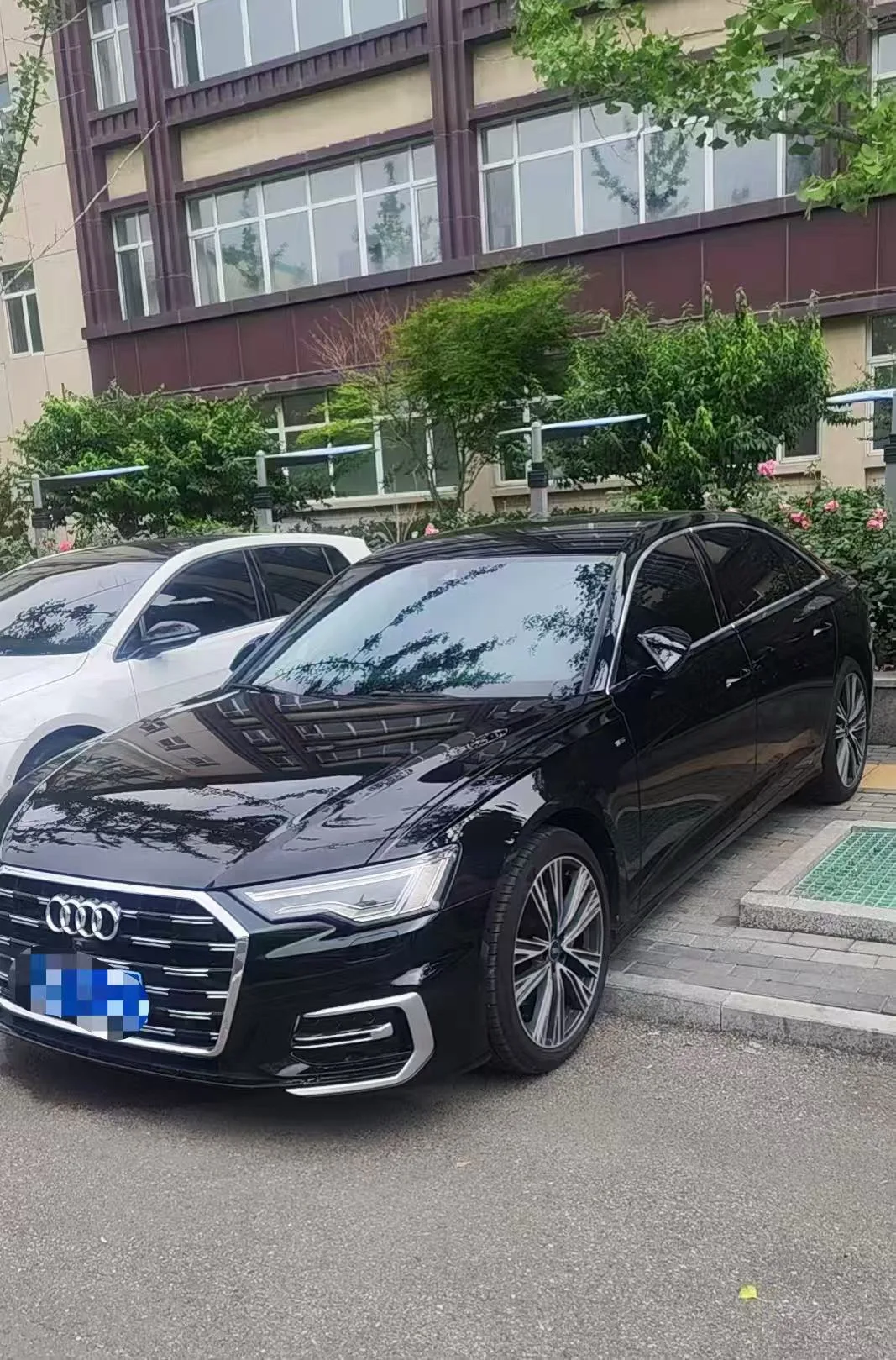 Audi 2026 A6L 2.0TFSI 45TFSI Premium Dynamic Edition Automatic