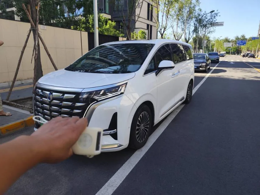 Denza D9 2024 DM-i 980 AWD Flagship