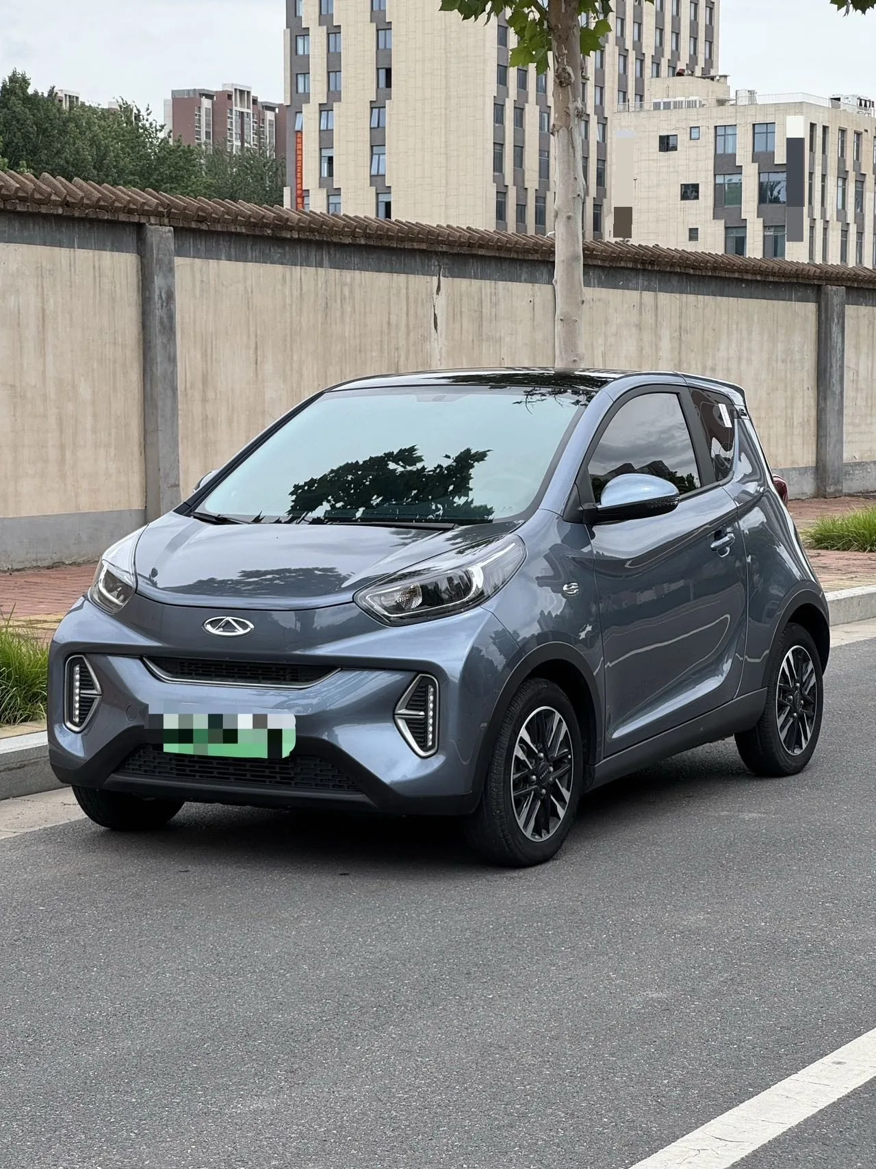 Little Ant 2023 Model, 301 km Range, True Love Plus Edition, Lithium Iron Phosphate
