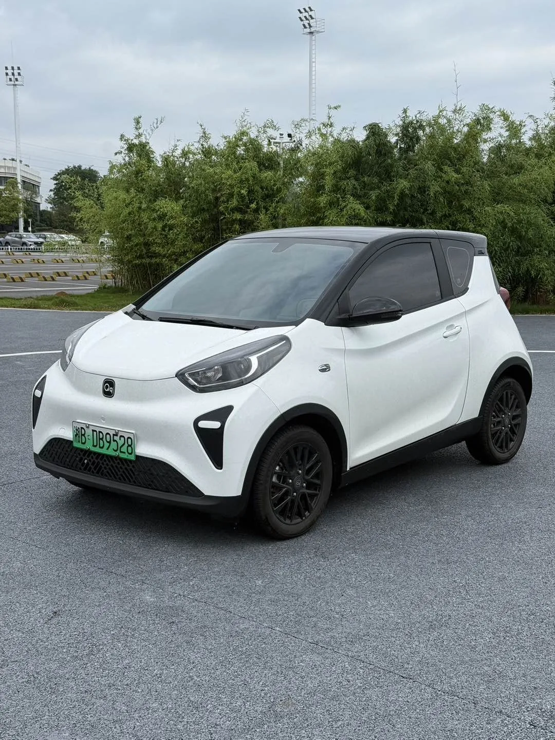 Little Ant 2024 Model, 321 km Range, "Only Love" Edition