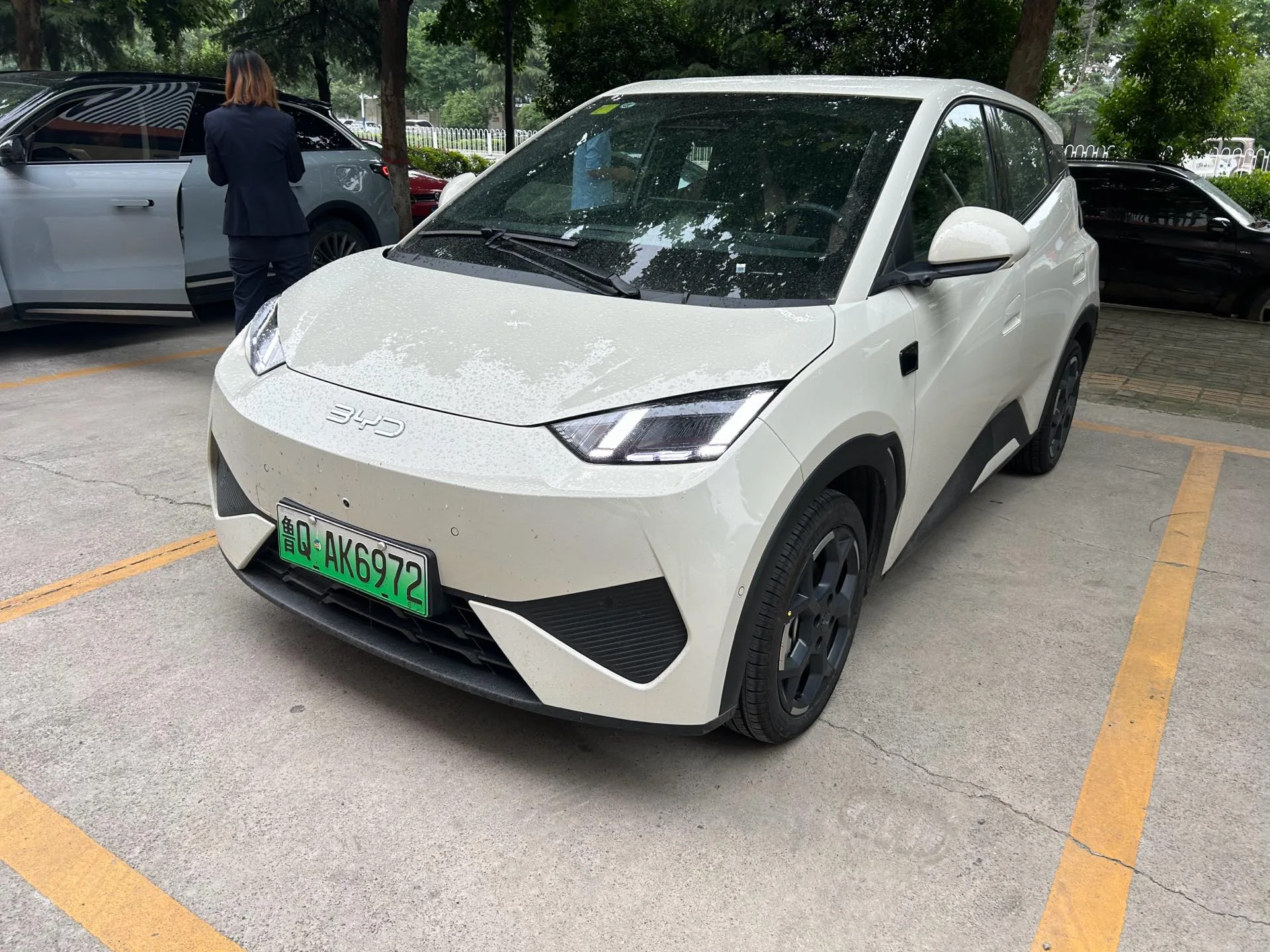BYD 2025 Seagull Smart Driving Edition 305km Freedom Edition Automatic Transmission