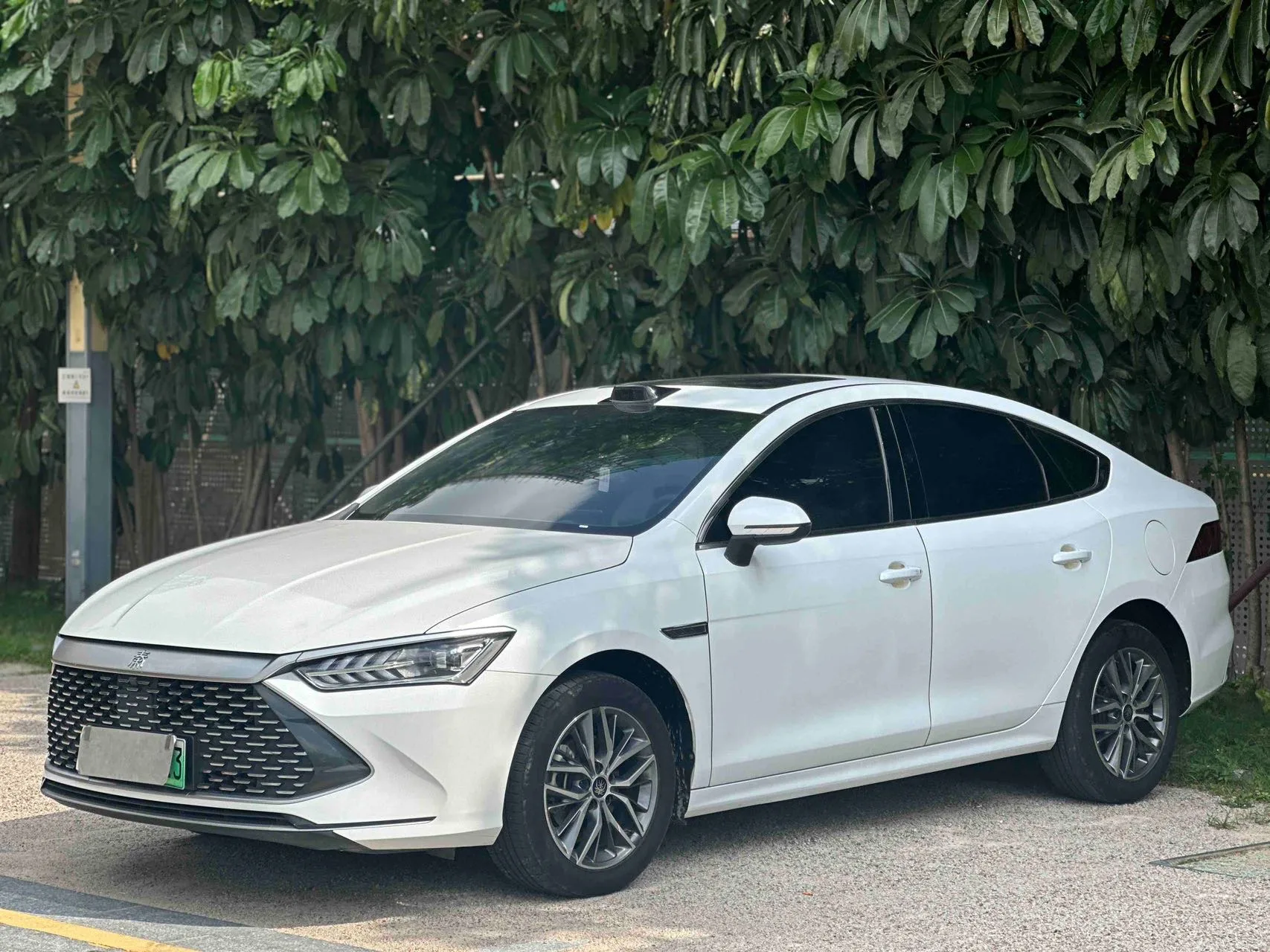 Qin L 2024 DM-i 120KM Leading Edition