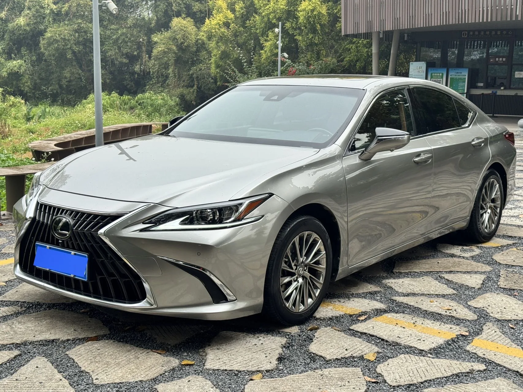 Lexus ES 2021 260 Premium Edition