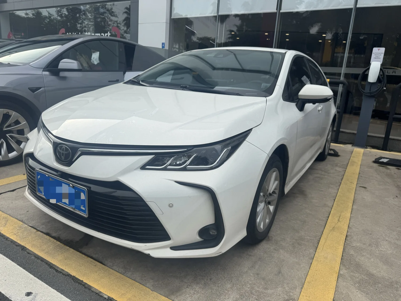 2019 Corolla 1.2T S-CVT GL-i Luxury Edition