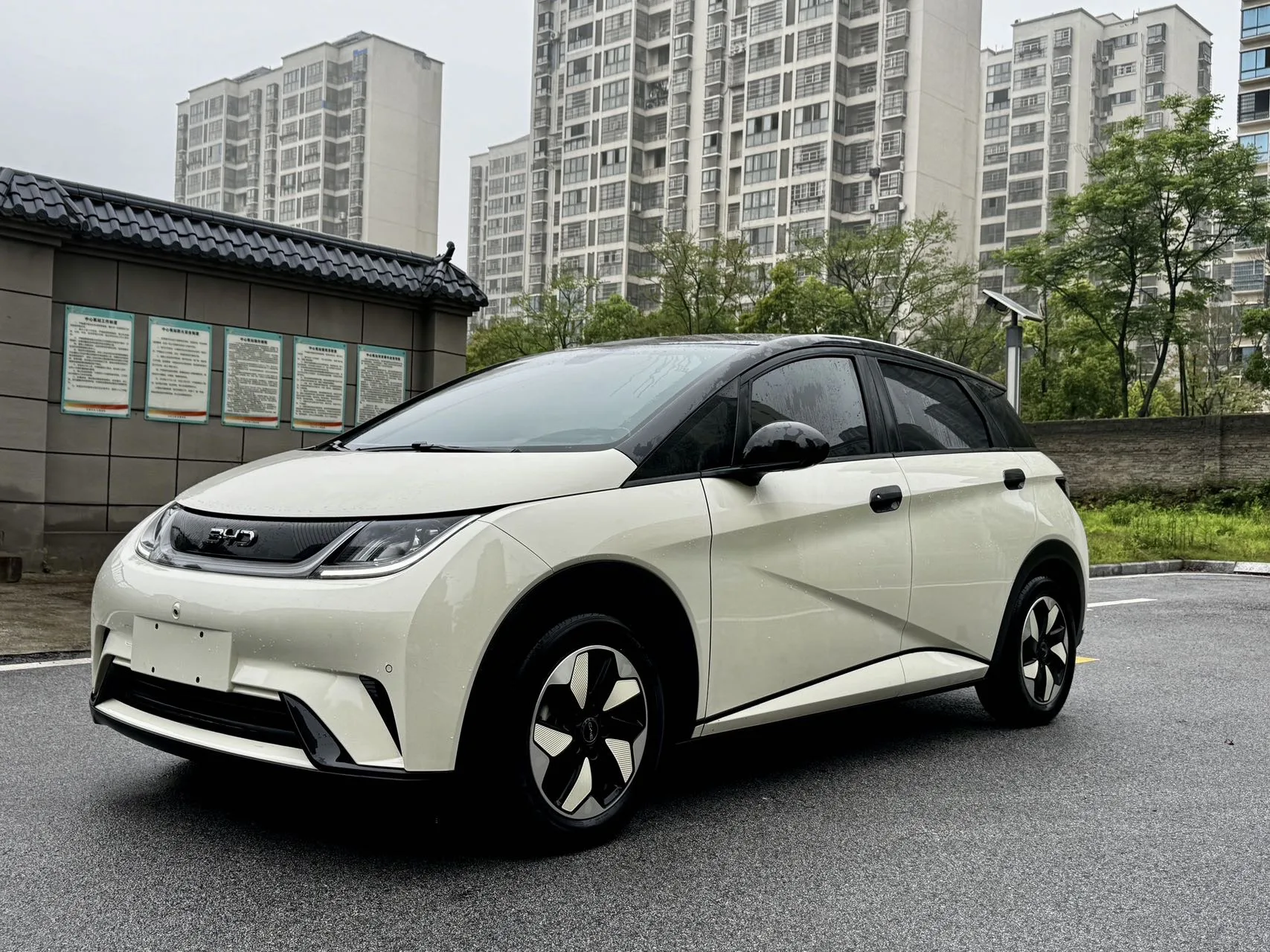 BYD 2024 Dolphin Glory Edition 420km/h Fashion Edition Automatic