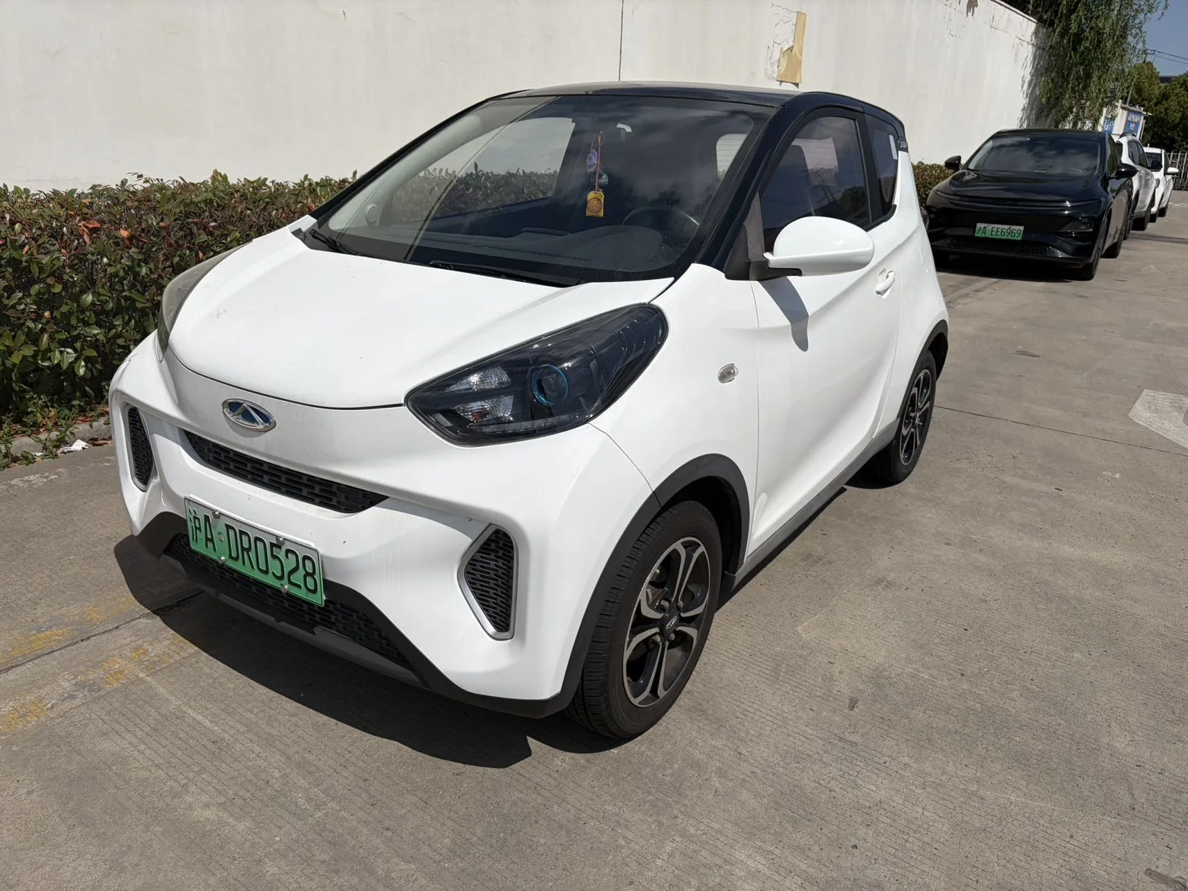 Little Ant 2019 4-seater Smart Edition 35kWh