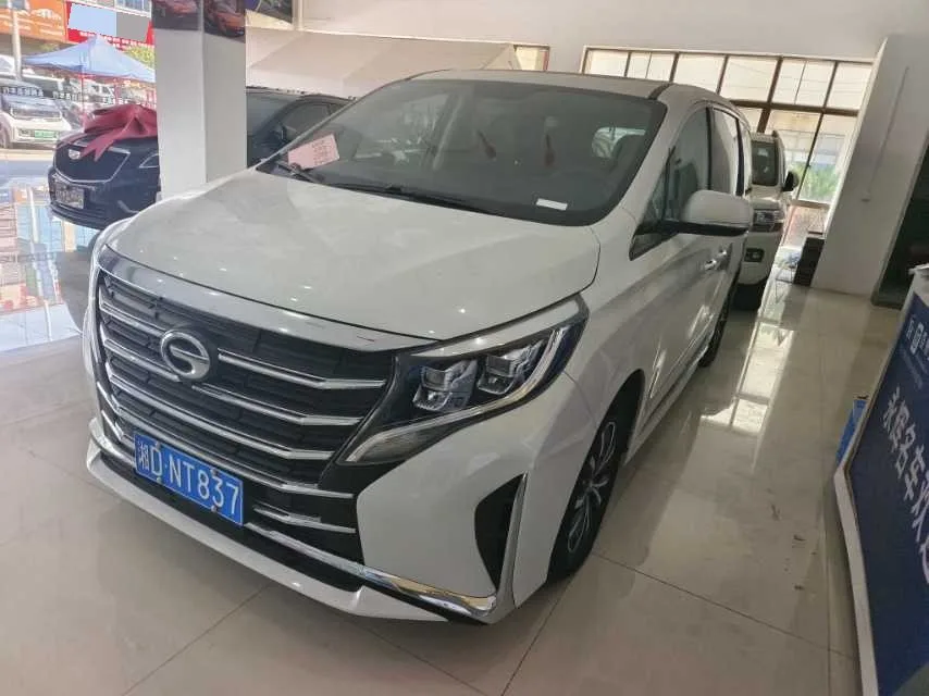 Trumpchi 2024 M8 2.0T 390T Leader Series Luxury Edition Automatic