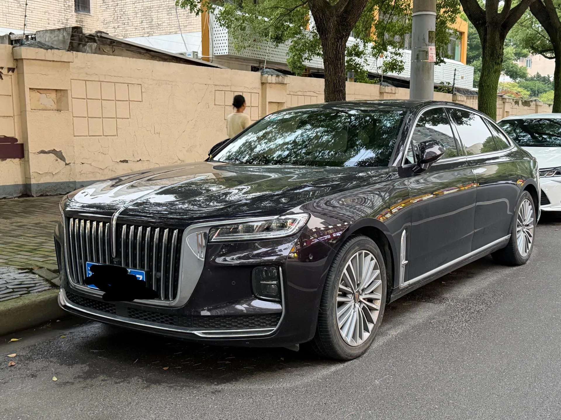 Hongqi H9 2020 2.0T Intelligent Flagship Edition