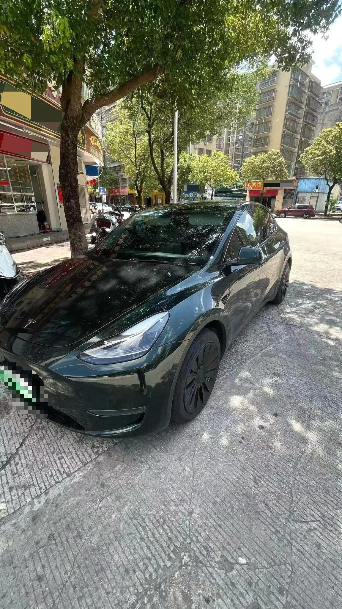 Model Y 2021 Standard Range Rear-Wheel Drive