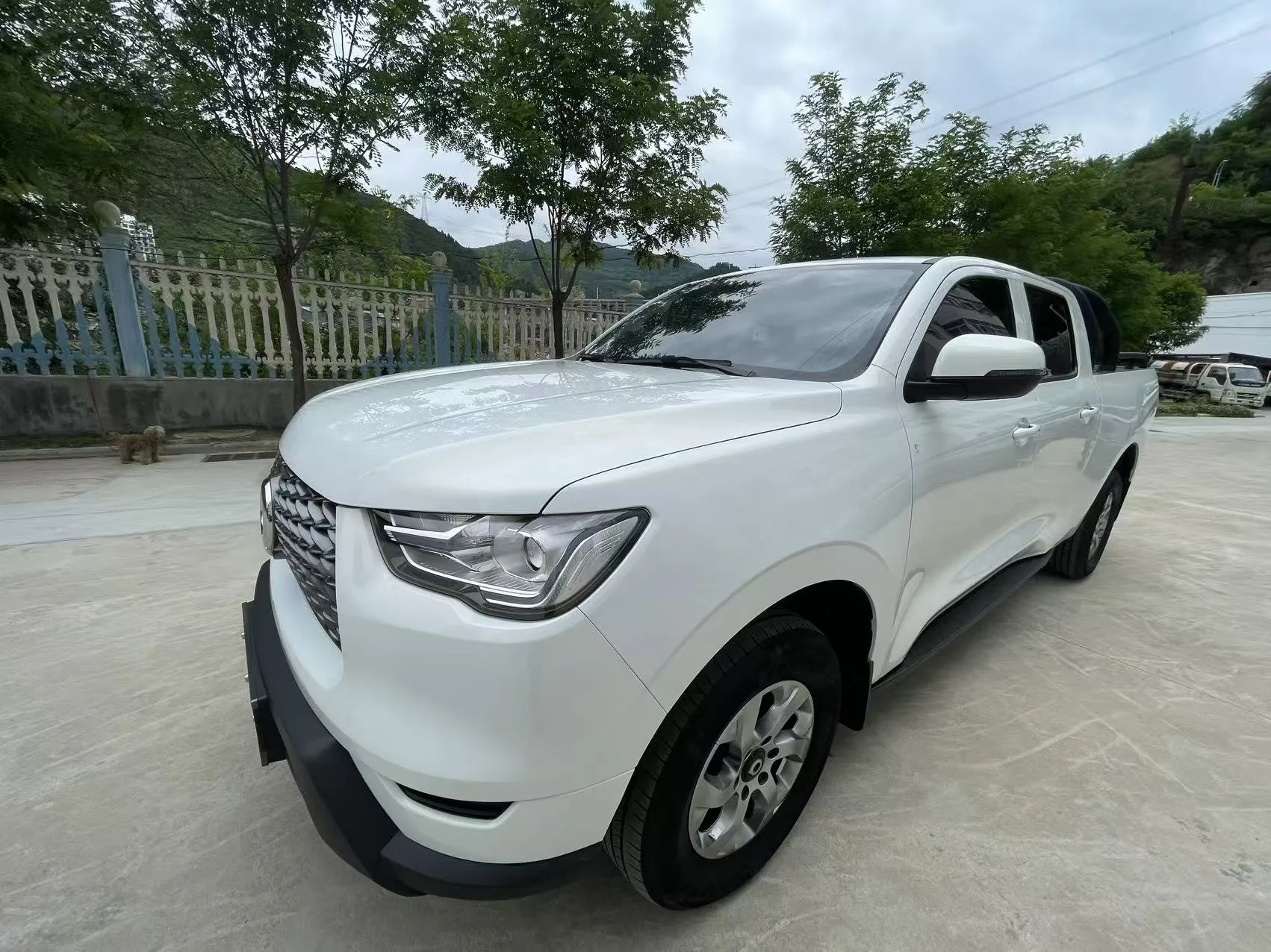 Cannon 2021 2.0T Commercial Version Automatic Diesel 4WD Elite Long Box GW4D20M
