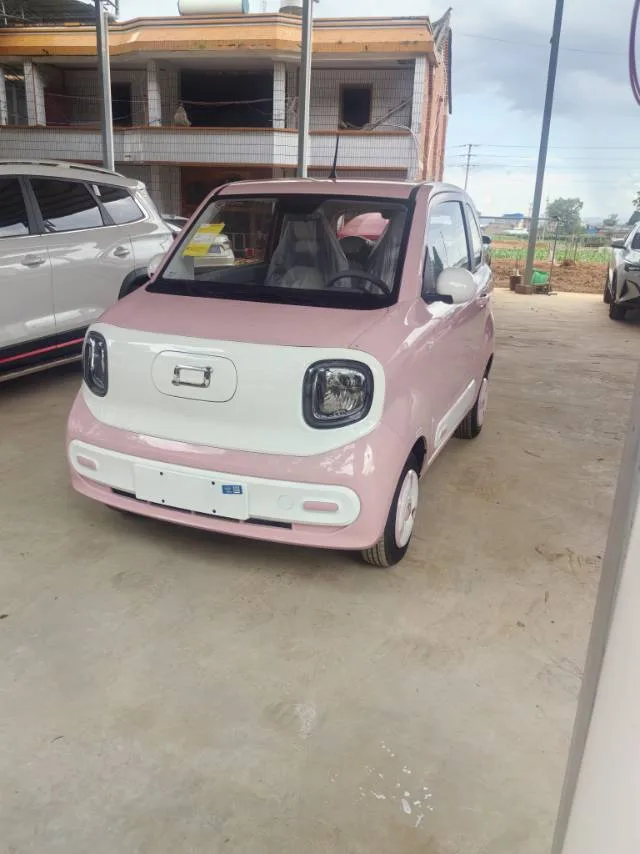 Pentium 2025 Little Horse 222 km Agile Horse Automatic Transmission