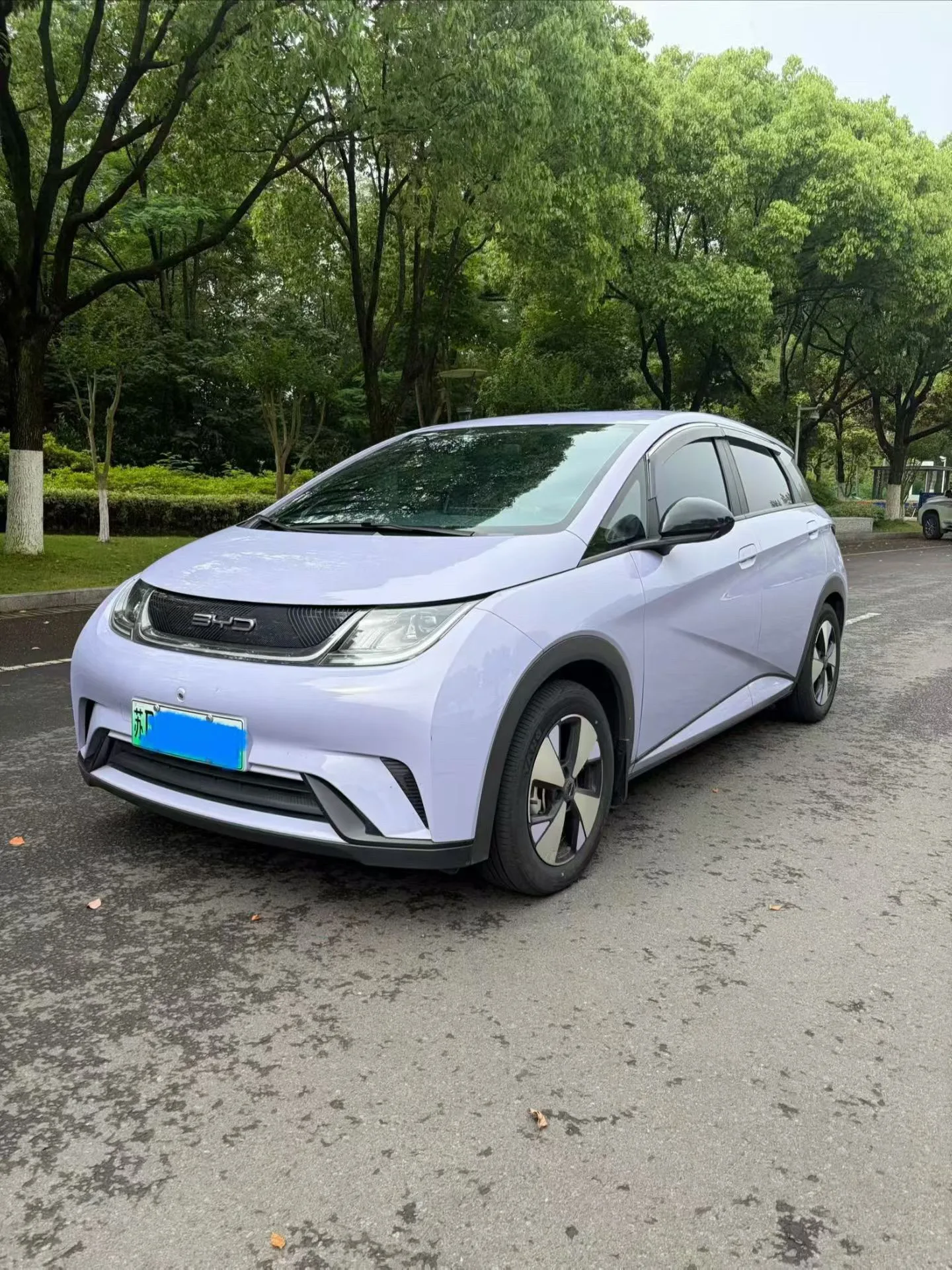 BYD 2023 Dolphin 420km Freedom Edition Automatic