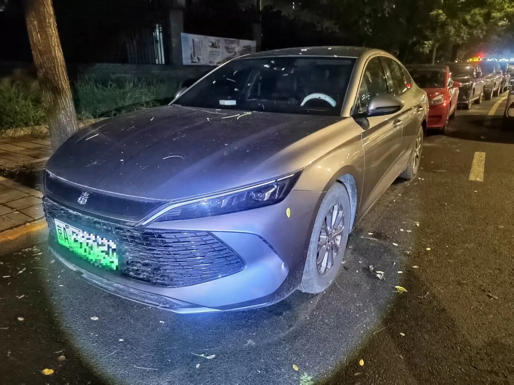 Qin L 2024 DM-i 80KM Leading Edition