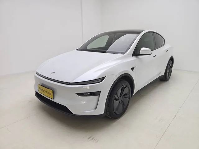 Tesla 2026 Model Y Long Range Rear-Wheel Drive Automatic