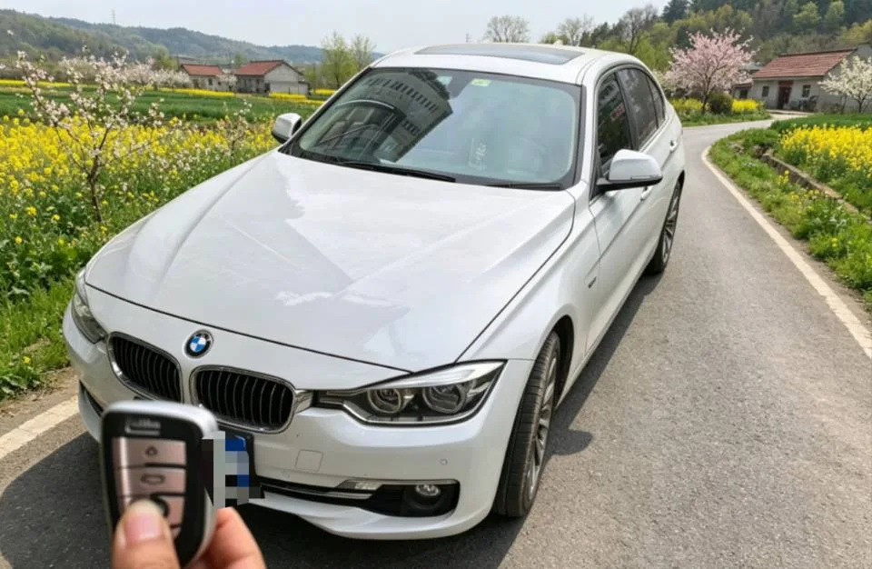 2018 BMW 3 Series 320Li Leading Luxury Package
