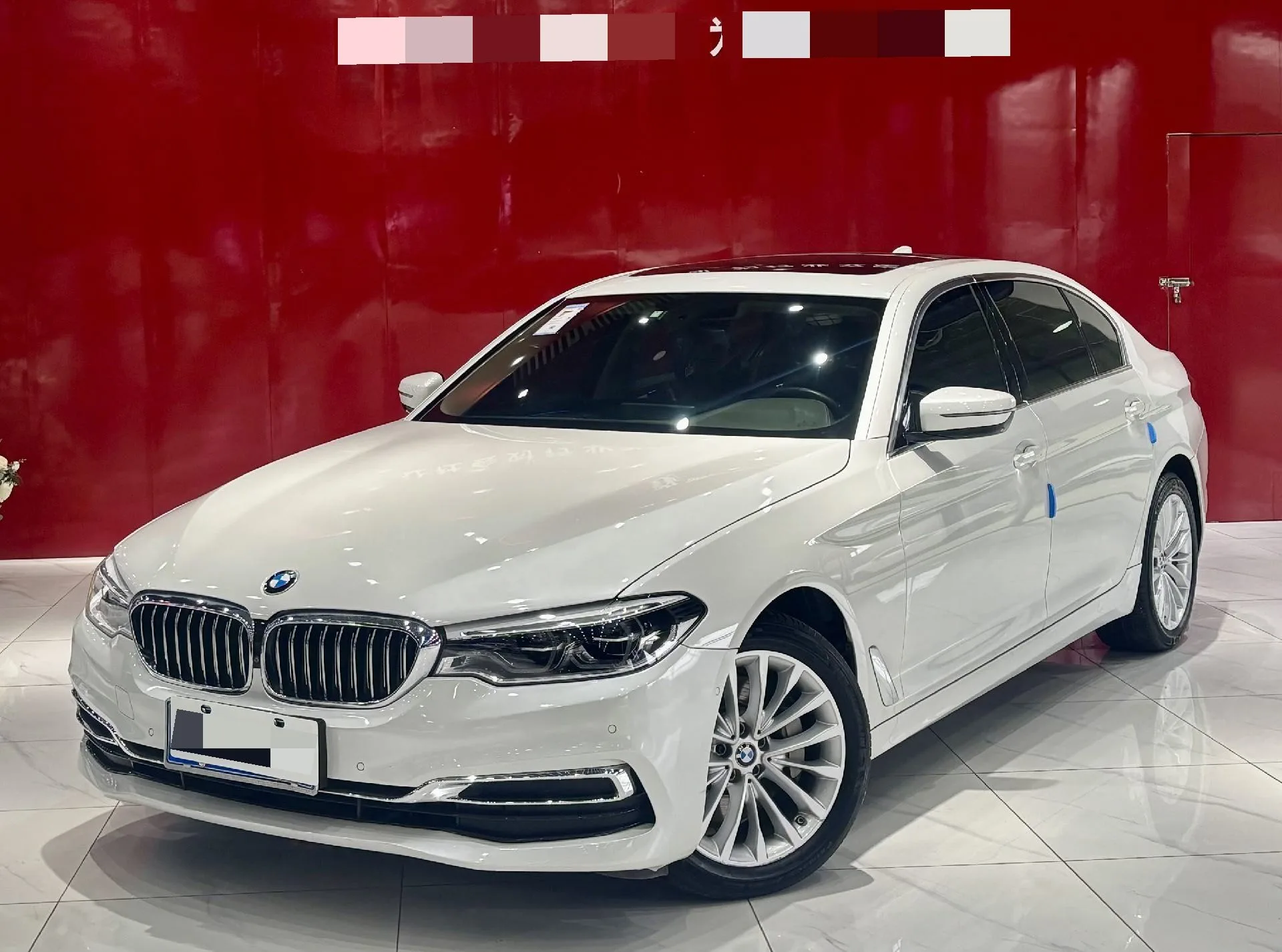 BMW 5 Series 2020 530Li Leading Luxury Package