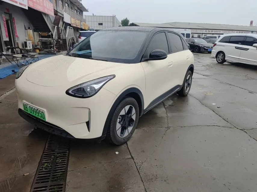 Star Wish 2025 310km Youth Edition