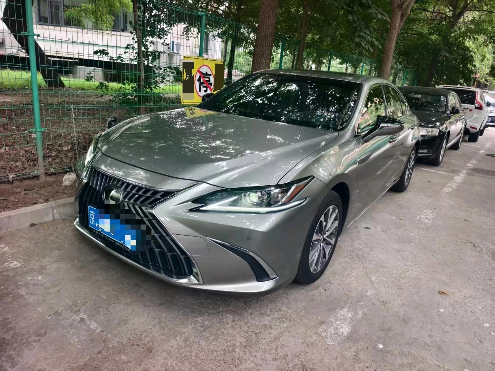 2021 Lexus ES 200 Luxury Edition