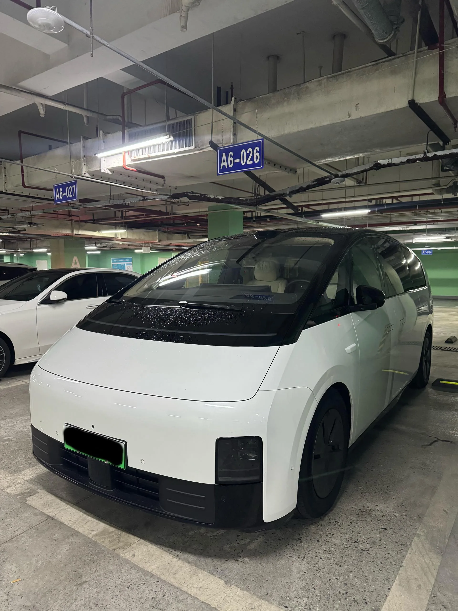 Li Auto 2025 MEGA Home Family Special Edition Automatic