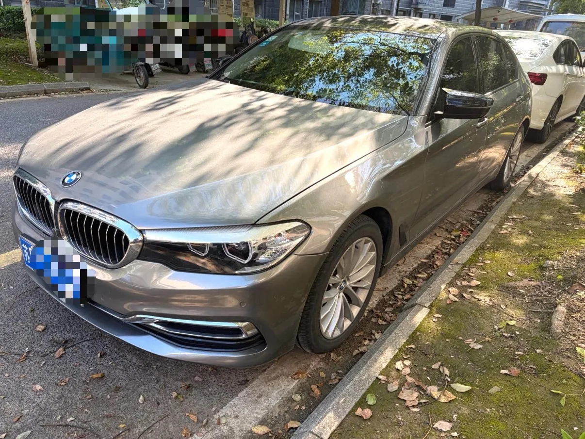 2019 BMW 5 Series 525Li Luxury Package