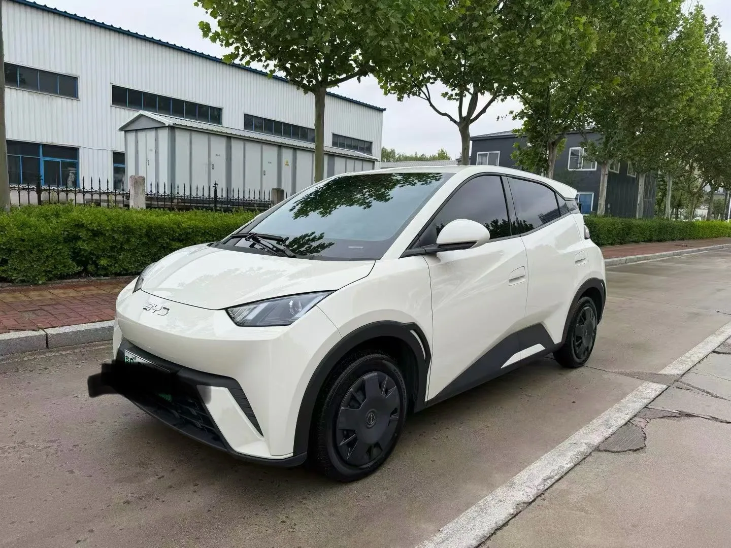 BYD 2023 Seagull Freedom Edition Automatic
