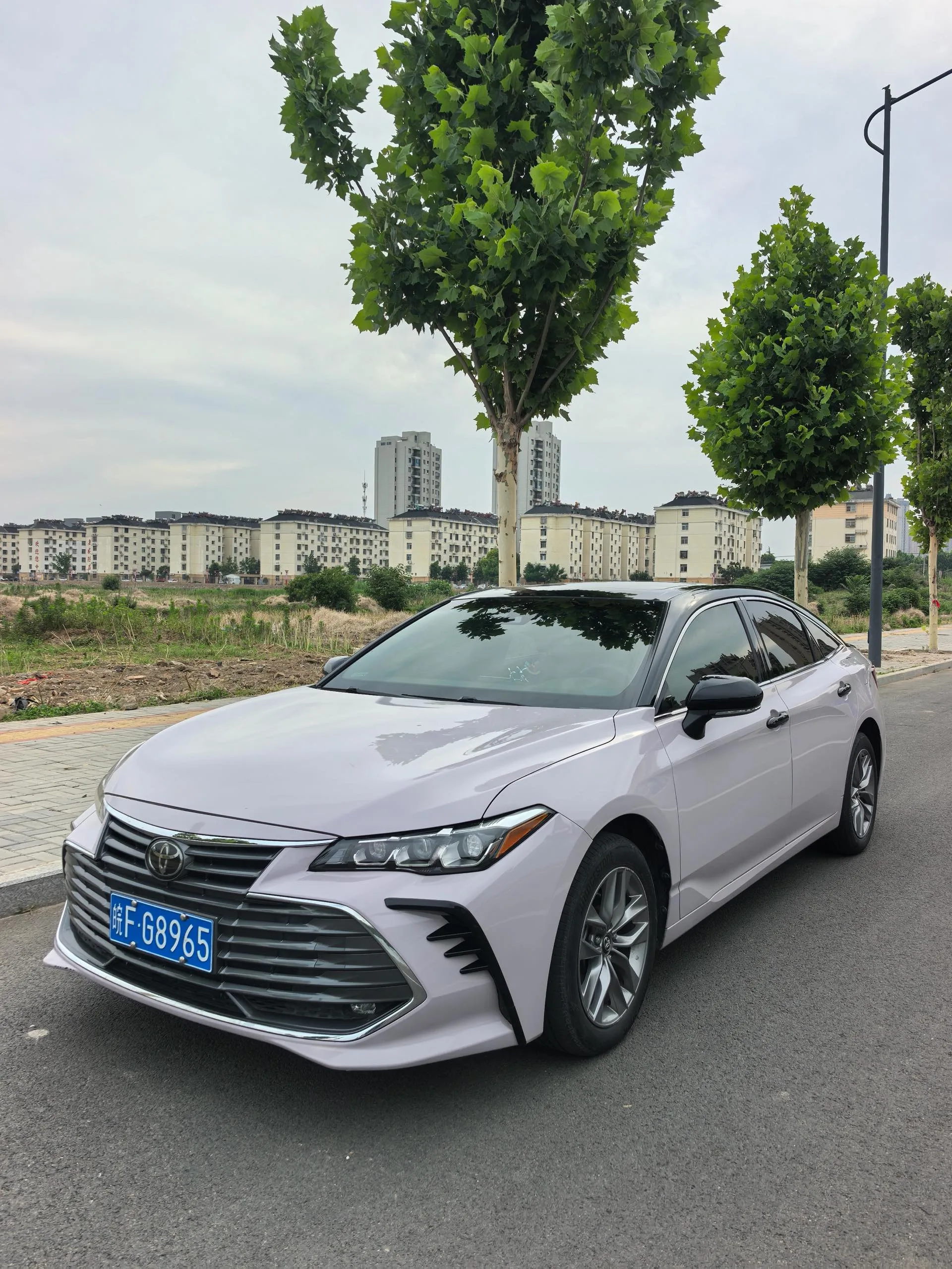 2021 Asian Dragon 2.5L Luxury Edition