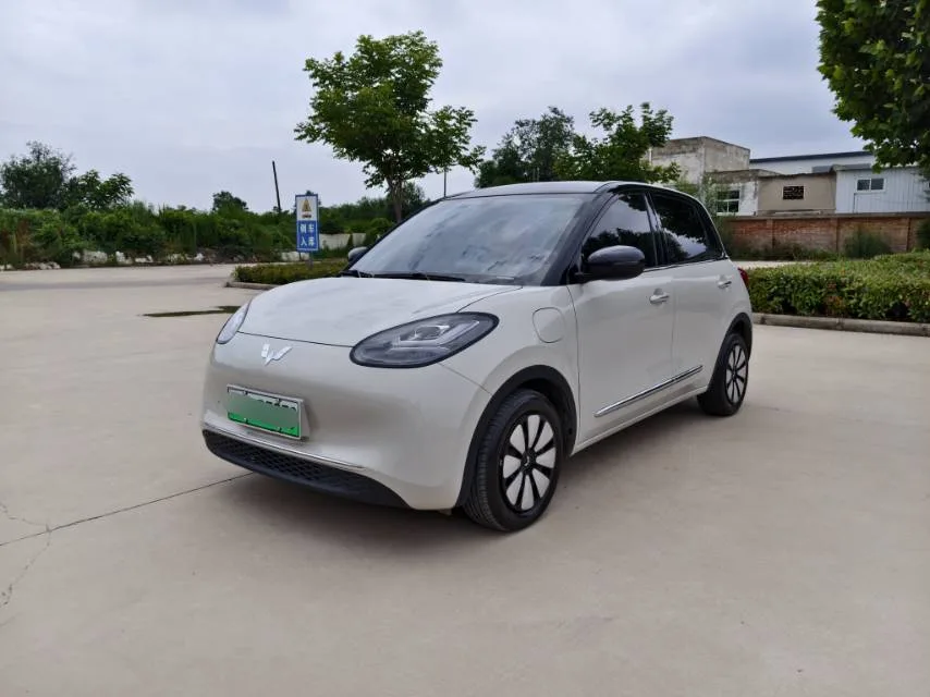 Wuling 2025 Bingo 333km Enjoy Edition Automatic