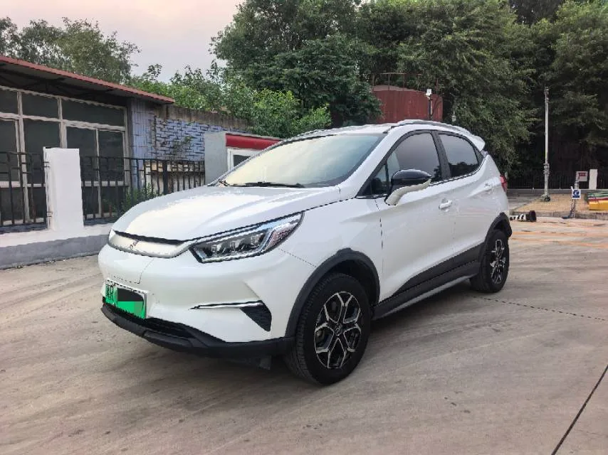 Yuan Pro 2021 401KM Luxury Edition