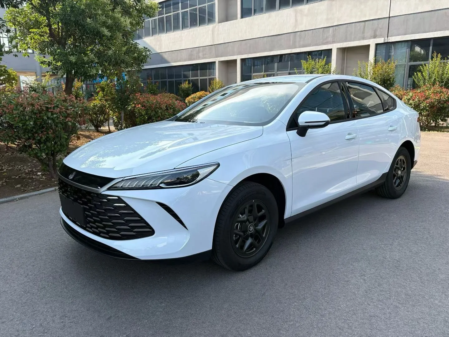 BYD 2026 Qin PLUS DM-i 1.5 CVT 128KM Entry-level Automatic