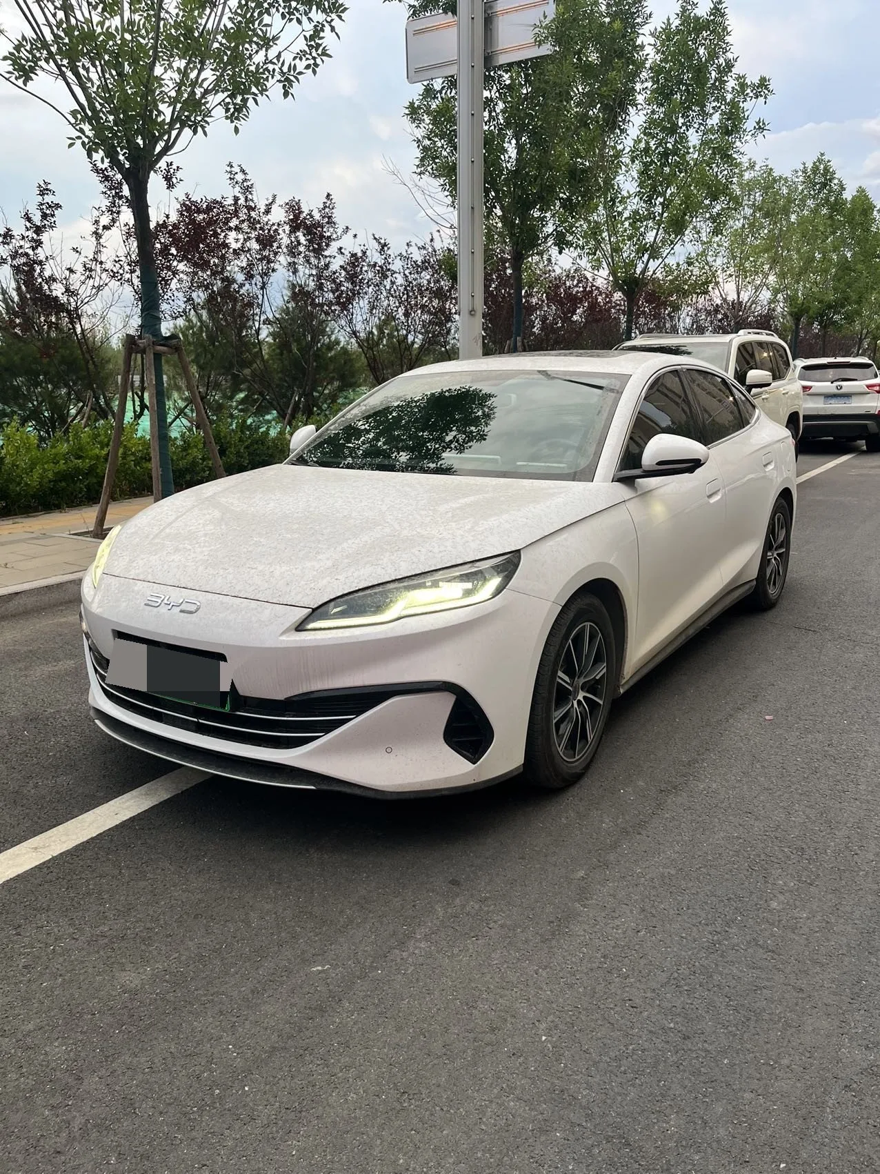 Qin L 2024 DM-i 120KM Leading Edition
