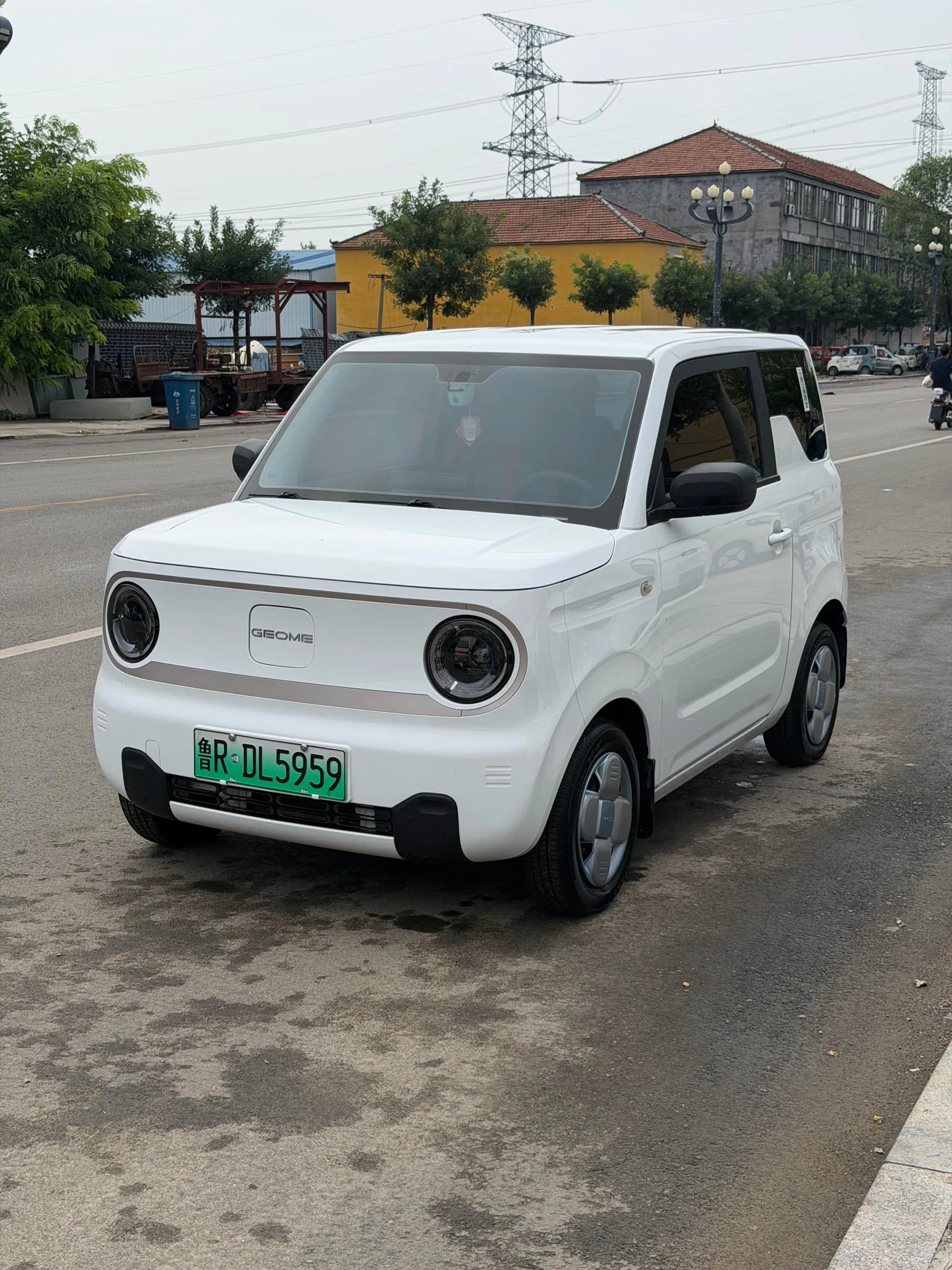 Panda 2023 Panda Mini 200km Endurance Bear