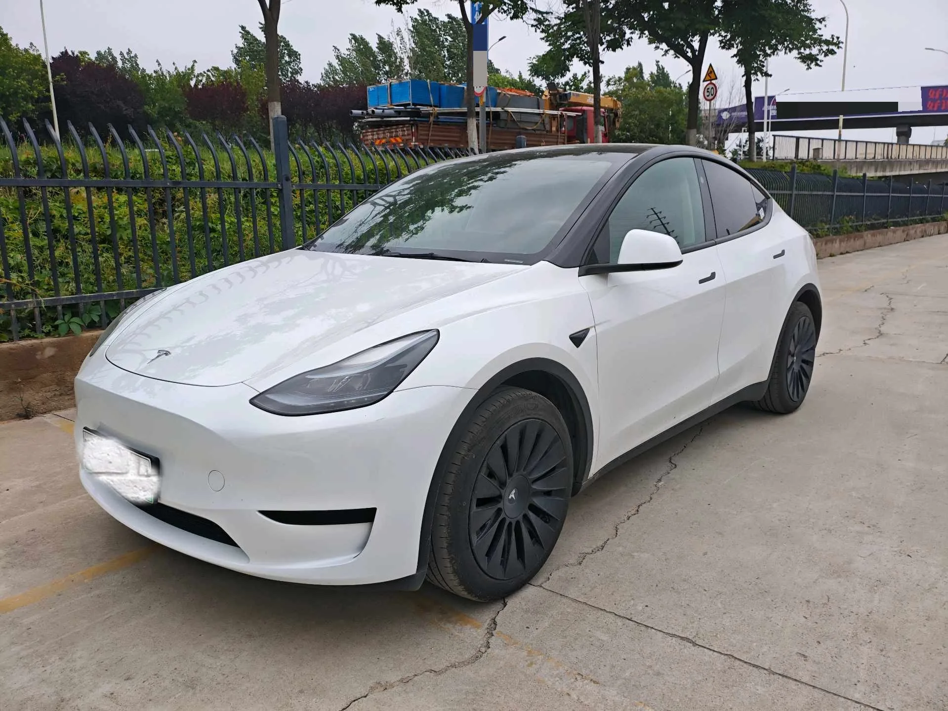 Model Y 2024 Rear-Wheel Drive