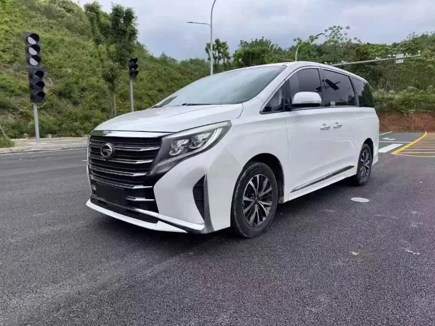 Trumpchi M8 2021 Leading Series 390T Premium Welfare Edition