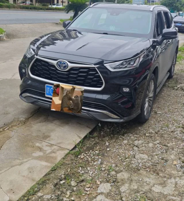 Toyota 2024 Highlander Hybrid 2.5L CVT Intelligent Electric Hybrid AWD Premium Edition 7-seater Automatic Transmission