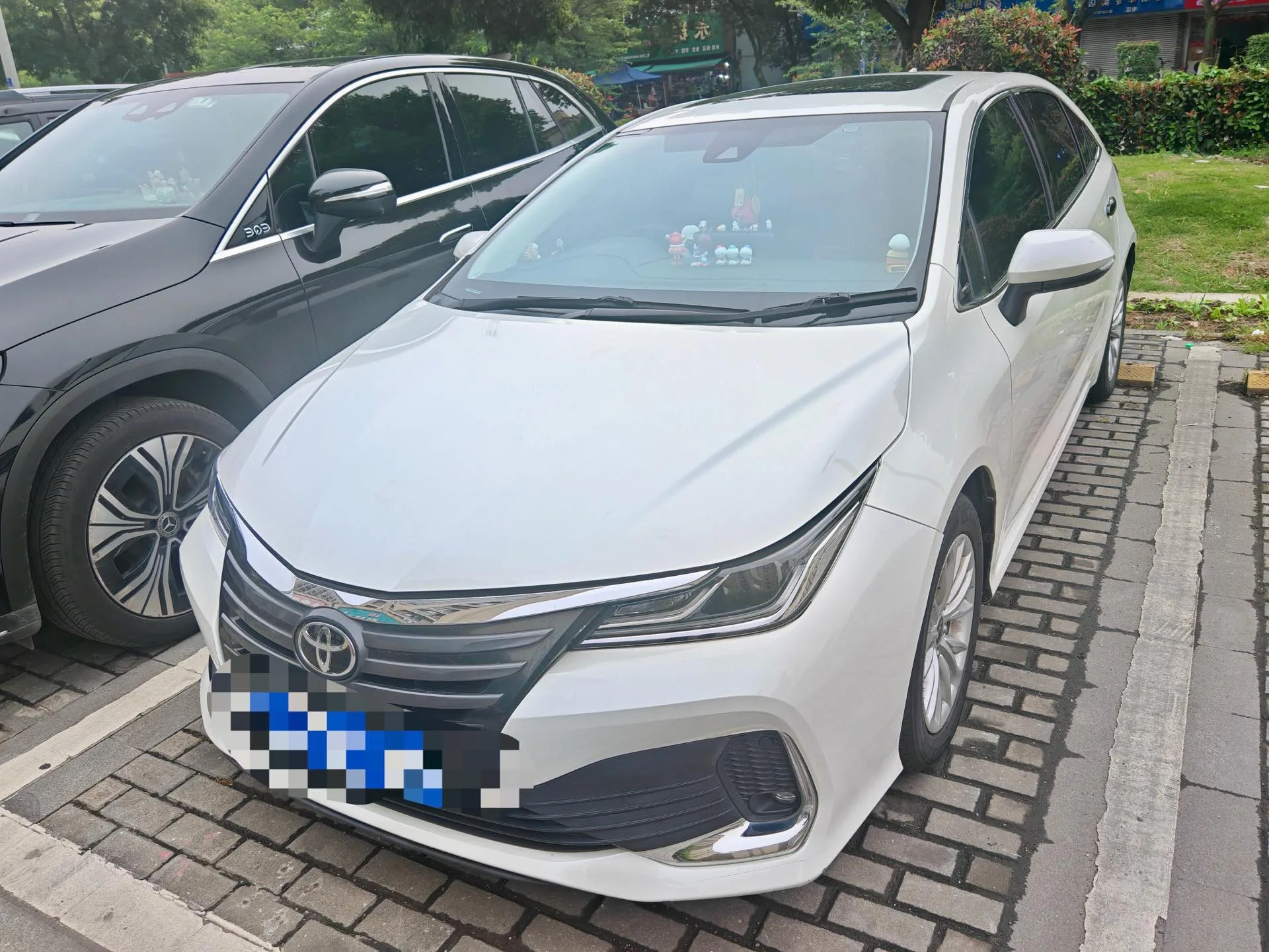 2021 Asian Lion 2.0L Luxury Edition