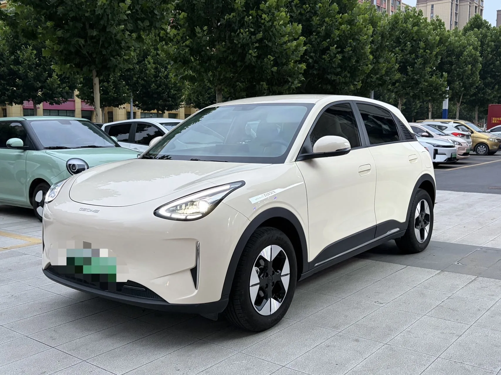 Star Wish 2025 310km Dream Edition