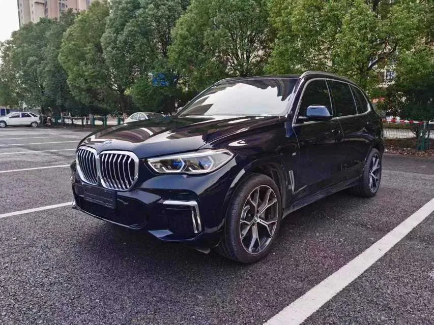 2022 BMW X5 Facelift xDrive 30Li M Sport Package