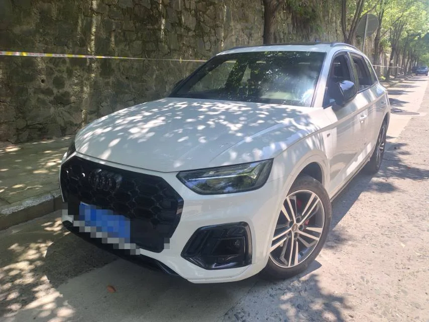 Audi 2024 Q5L 2.0TFSI 40TFSI Luxury Dynamic Automatic