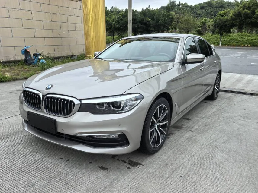 BMW 5 Series 2018 528Li Launch Special Edition