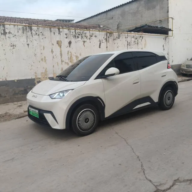 BYD 2025 Seagull 305km/h Vitality Edition Automatic
