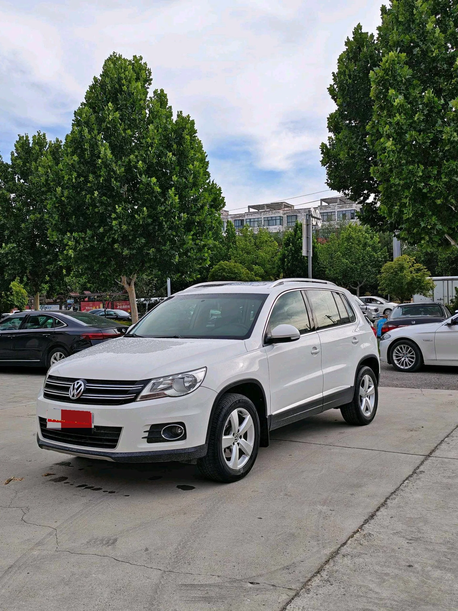 2012 Tiguan 1.8TSI Automatic Front-Wheel Drive Elite Edition