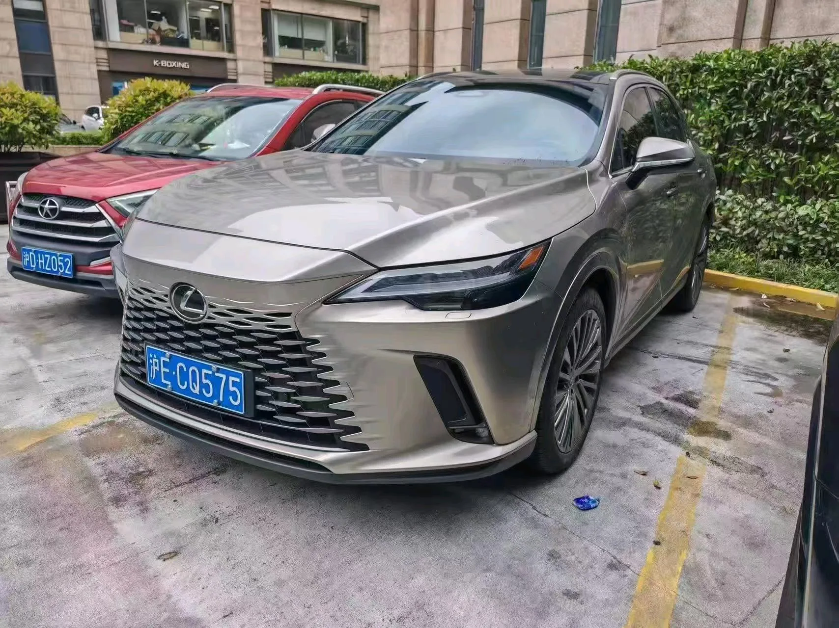 Lexus RX 2023 350h 2WD Enjoy Edition