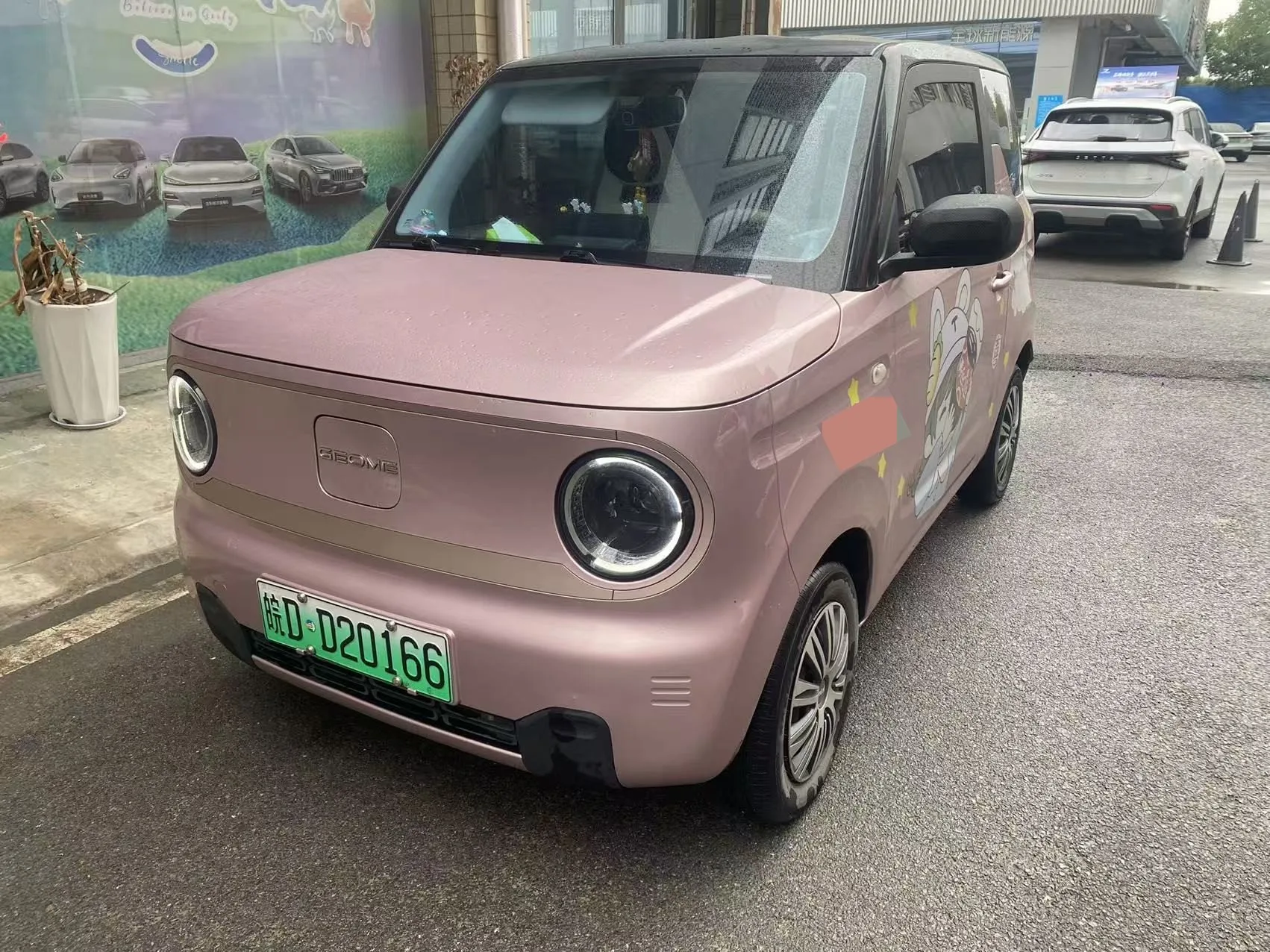 Panda 2023 Panda Mini 200km Endurance Bear