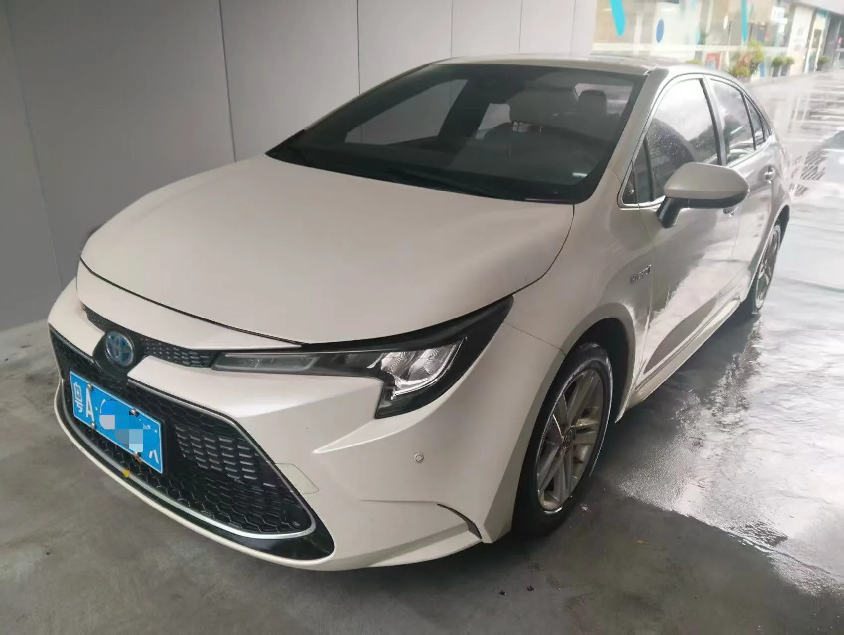Levin 2019 Hybrid 1.8H E-CVT Luxury Edition (National V Emission Standard)