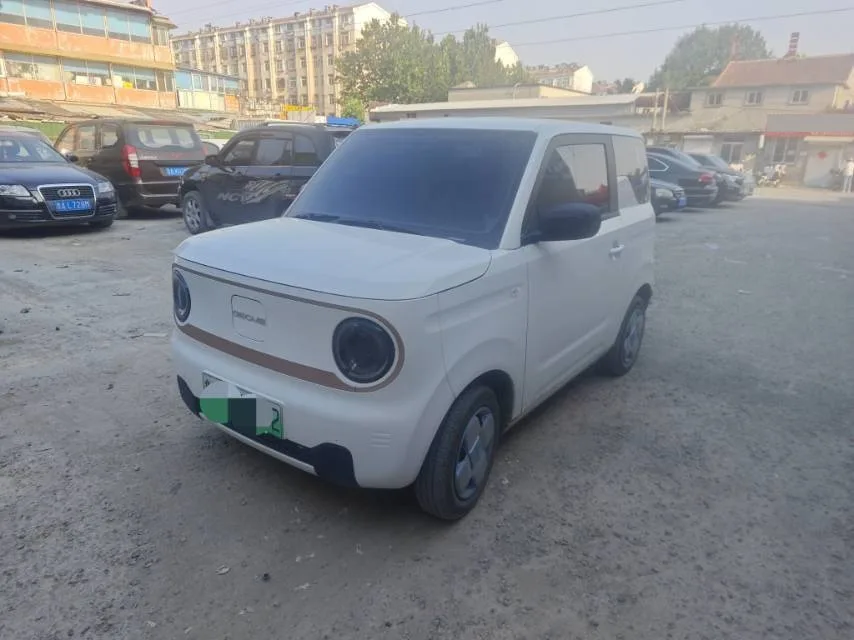 Panda 2024 Panda Mini 200km Endurance Bear