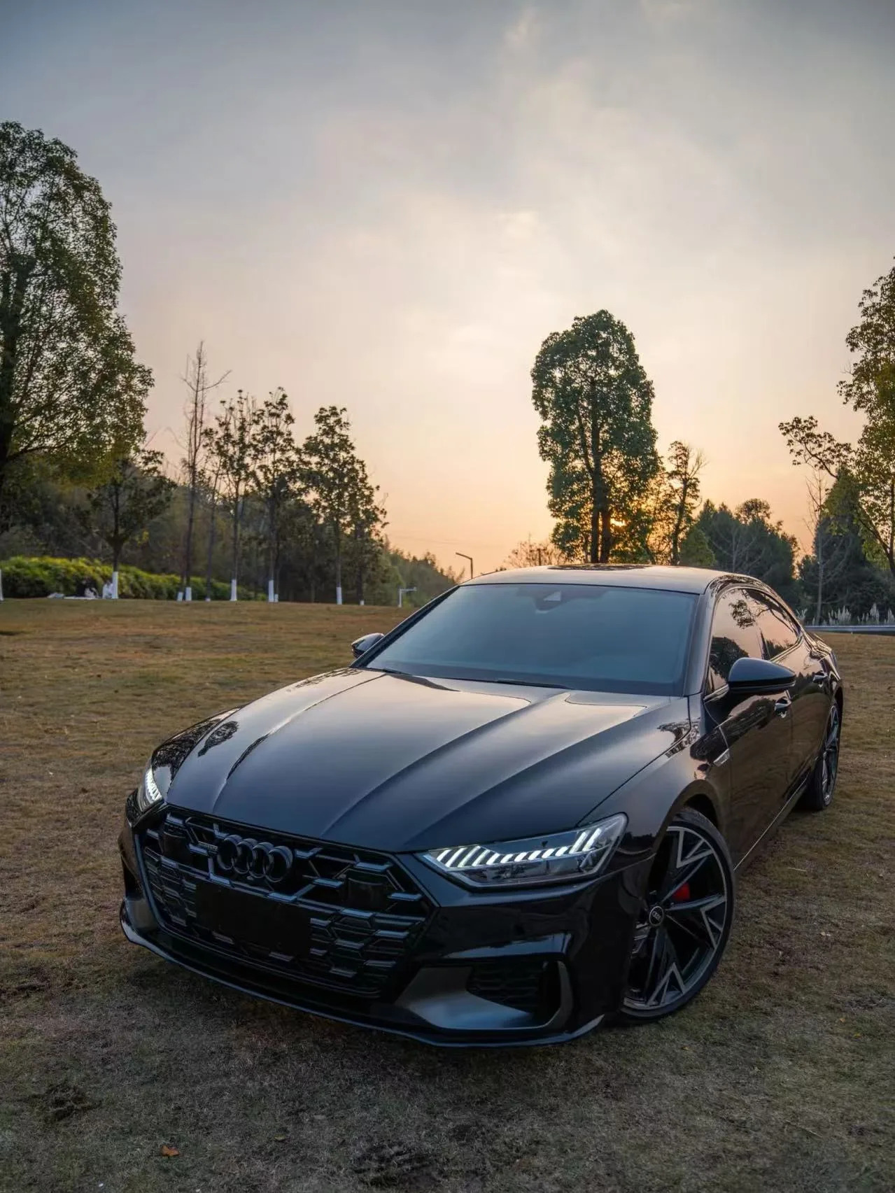 Audi A7L 2022 45 TFSI quattro S-line Black Knight Edition