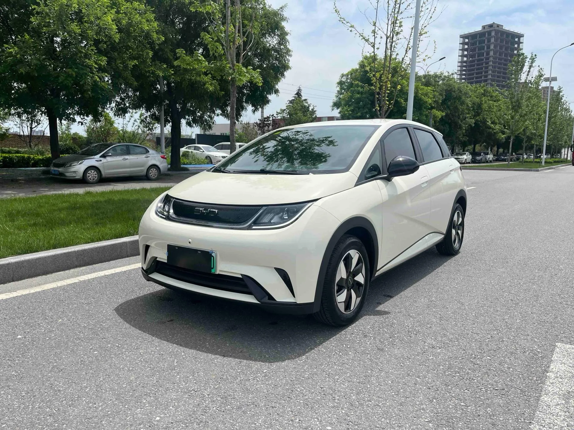 BYD 2025 Dolphin 420km Freedom Edition Automatic